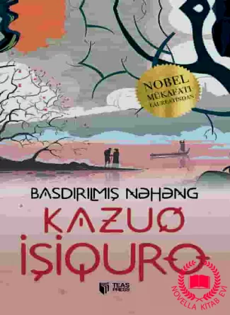 Basdırılmış nəhəng kitab üzü