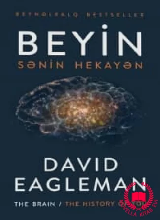Beyin. Sənin hekayən kitab üzü