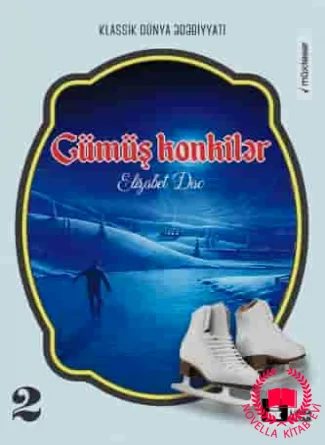 Gümüş konkilər kitab üzü