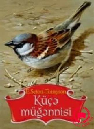 Küçə müğənnisi kitab üzü