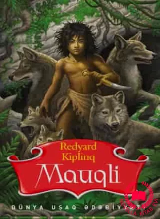 Mauqli kitab üzü